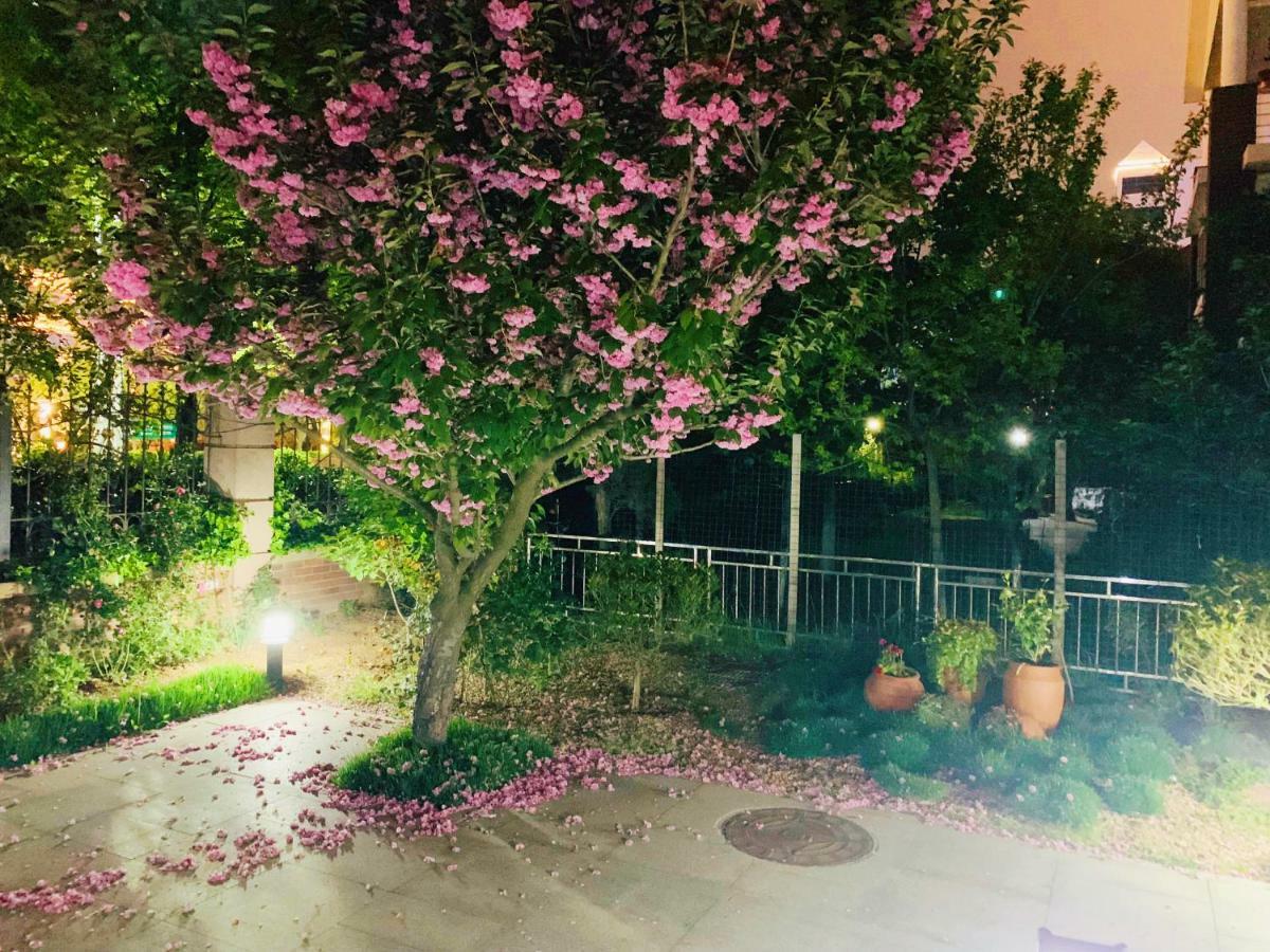 Floral Hotel - Begonia Villa Κινκντάο Εξωτερικό φωτογραφία