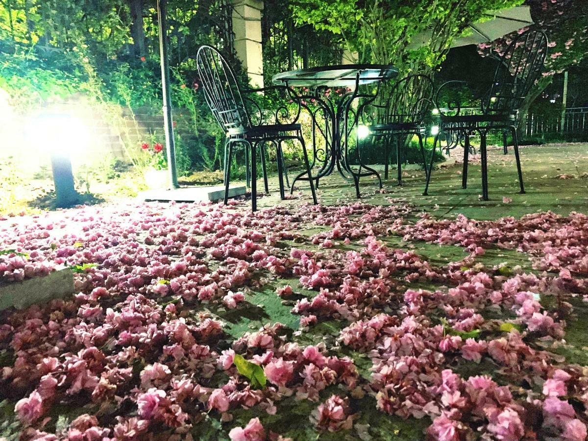 Floral Hotel - Begonia Villa Κινκντάο Εξωτερικό φωτογραφία